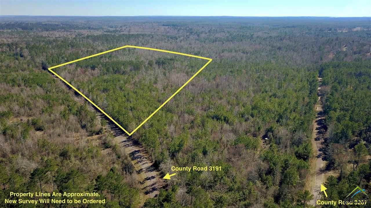 0 County Road 3191 - Photo 1