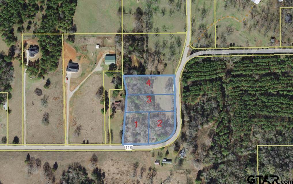 TBD Tract 2 Cr 118 - Photo 1