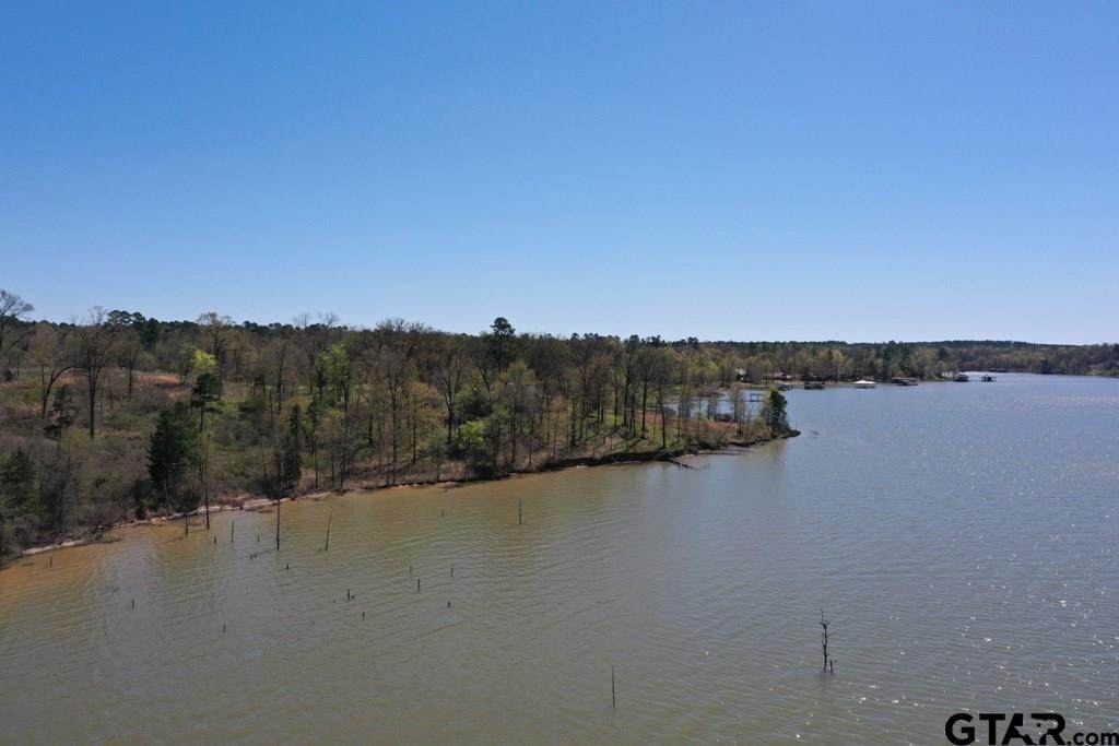 TBD LOT 9 Southshores - Photo 1