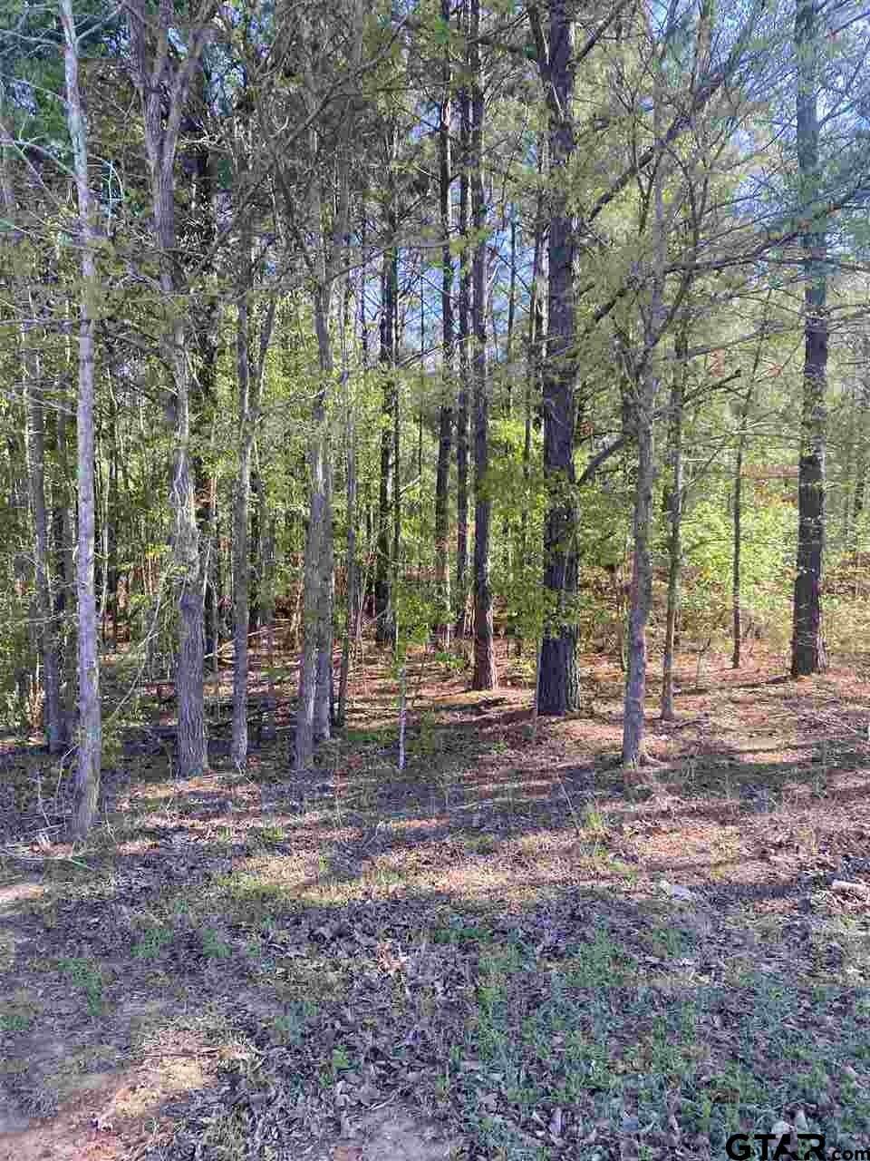 TBD County Road 107 - Photo 1
