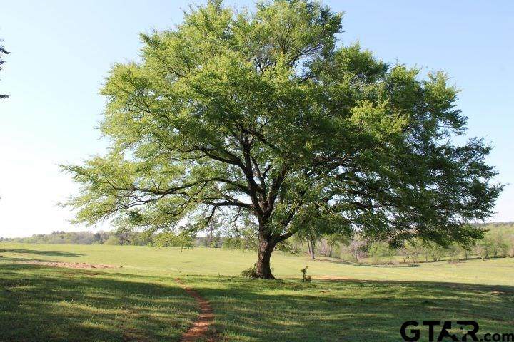 Acr 309 - Photo 1