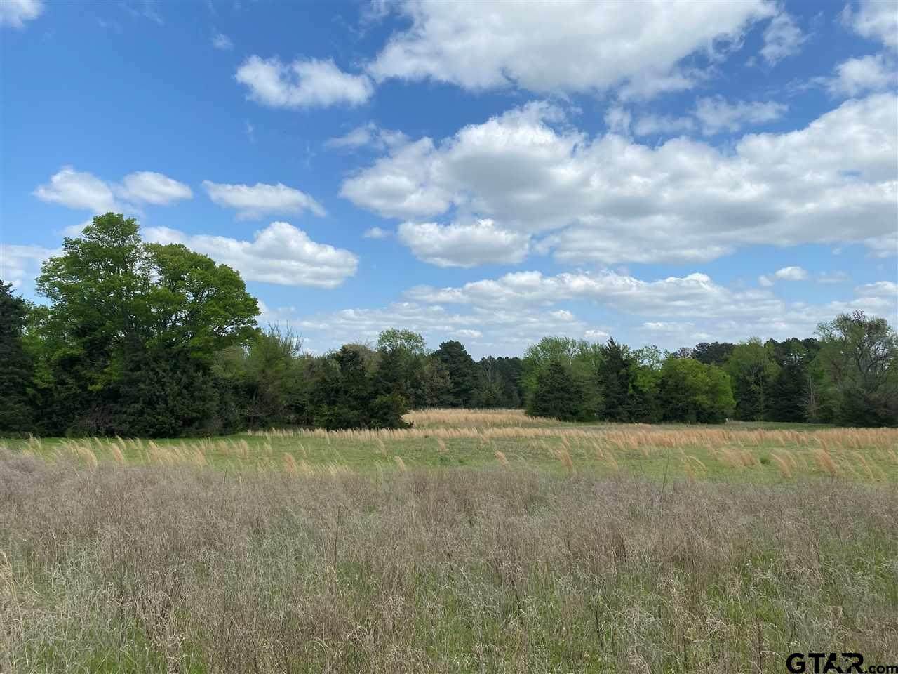 000 County Road 4330 - Photo 1