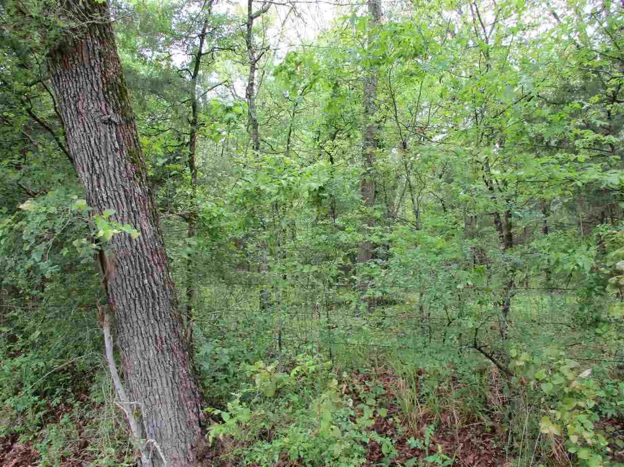 TBD Rains County Road 4525 - Photo 1