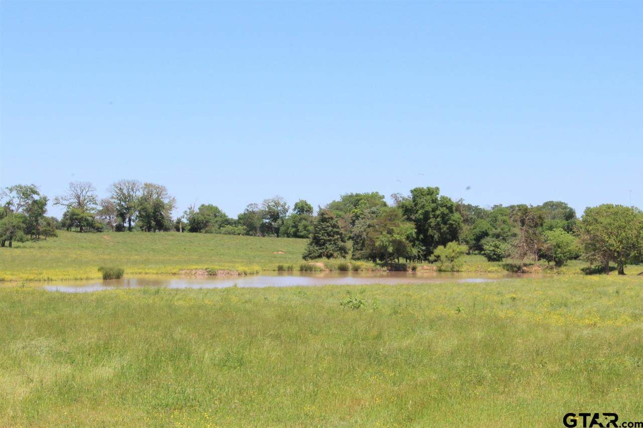 tbd 62 Acres Cr 1475 - Photo 1