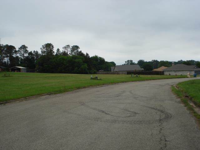 Lot 75 & 76 Dela Cruz Dr - Photo 1