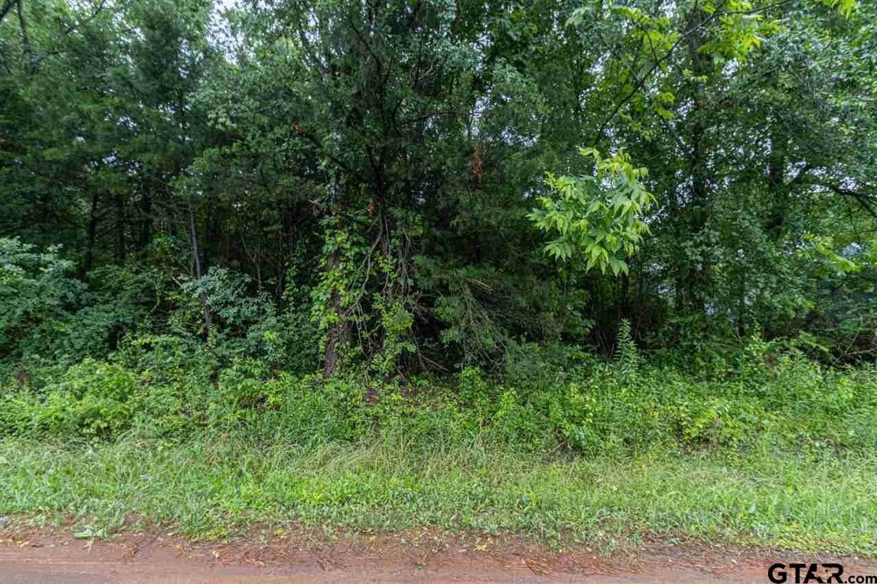 TBD Rollingwood Dr - Photo 1