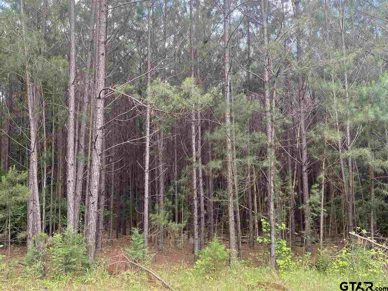 TBD Cr 1508 - Photo 1