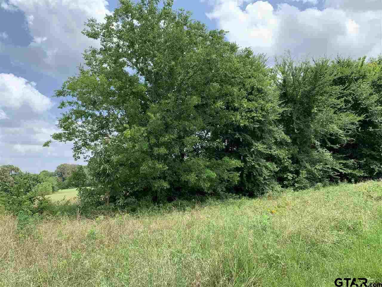 18593 (Lot 6) Cr 139 (Burkett Road) - Photo 1