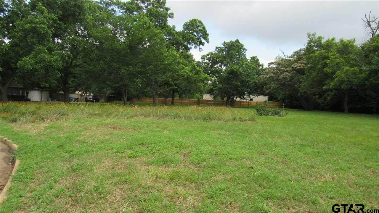 323 Hines Crossing - Photo 1