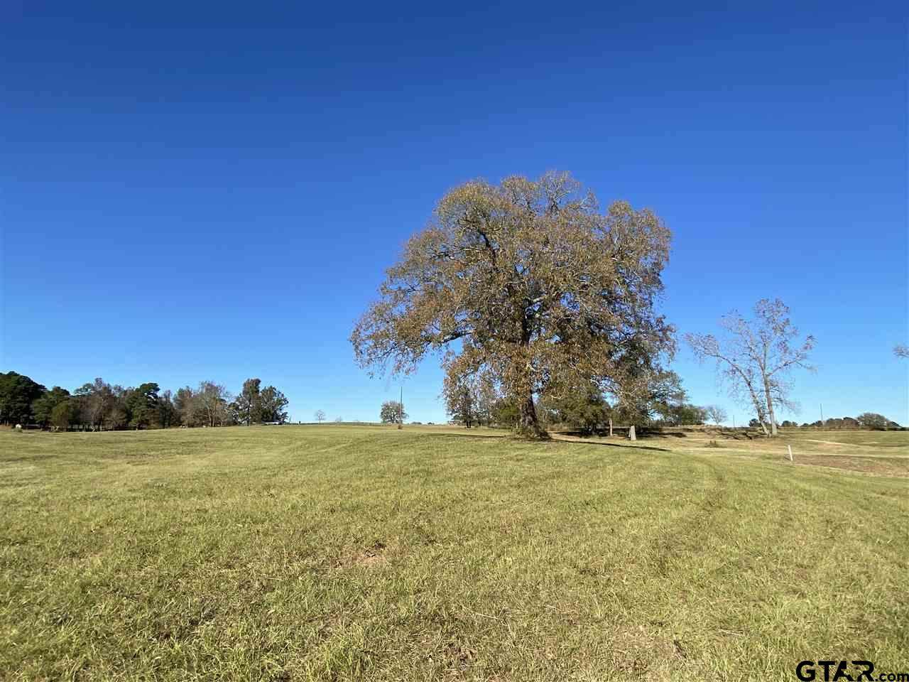 24391 Fm 15 - Photo 1