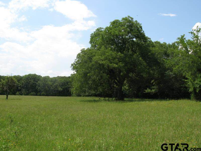 TBD County Rd 1111 - Photo 1