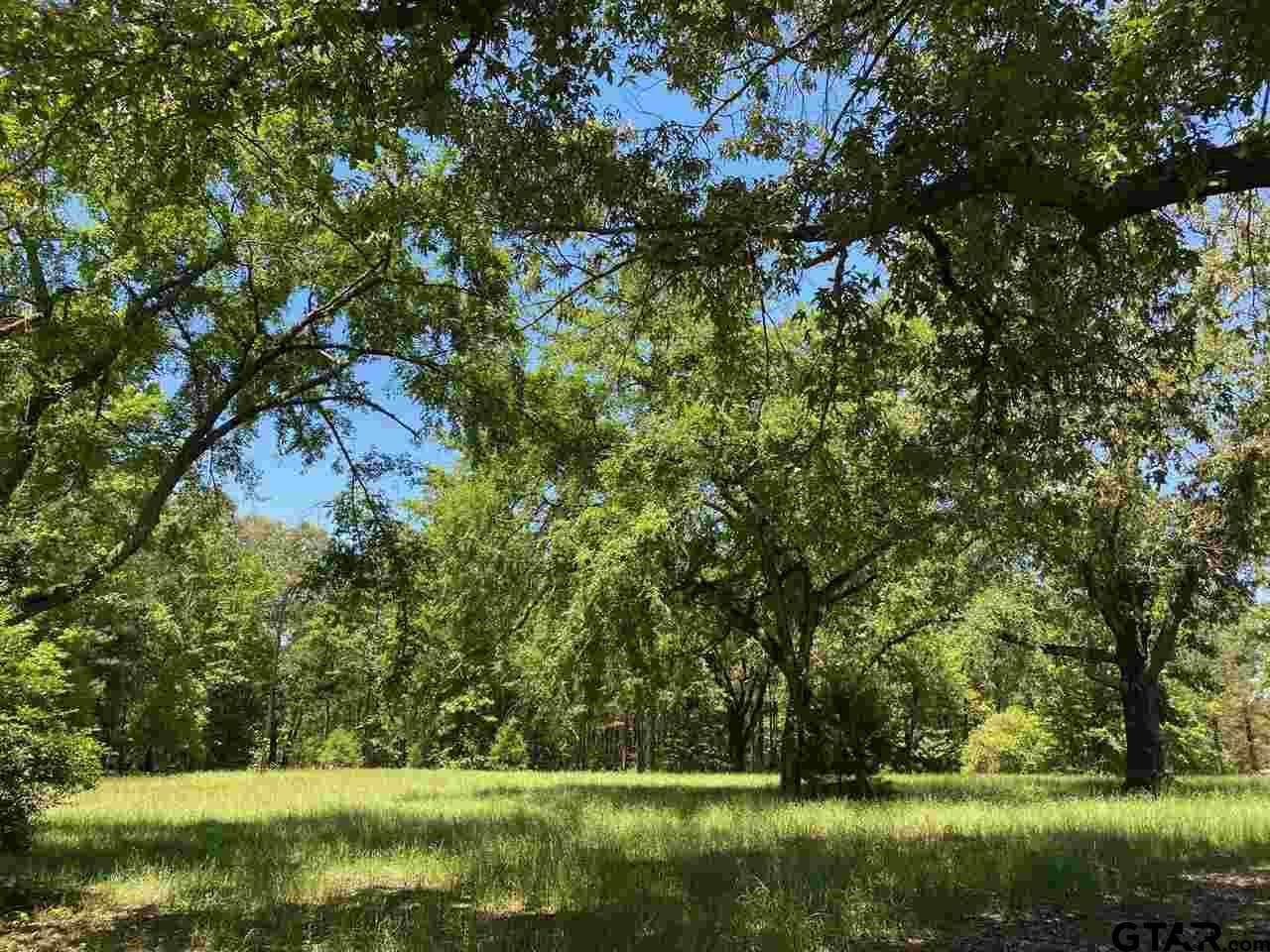 817 Hackberry - Photo 1