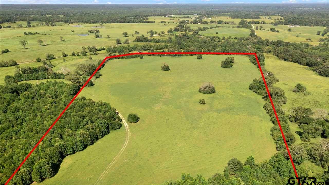 TBD LOT 10 Cr 4619 - Photo 1