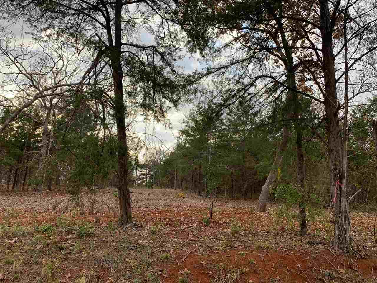 Tract 11 Old Tyler Rd. - Photo 1