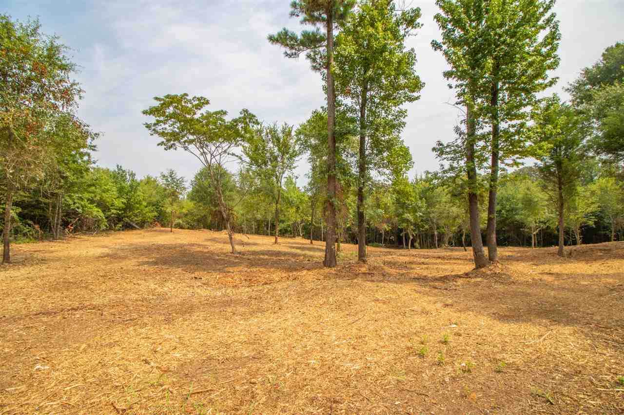 12550 Fm 16 West - Photo 1