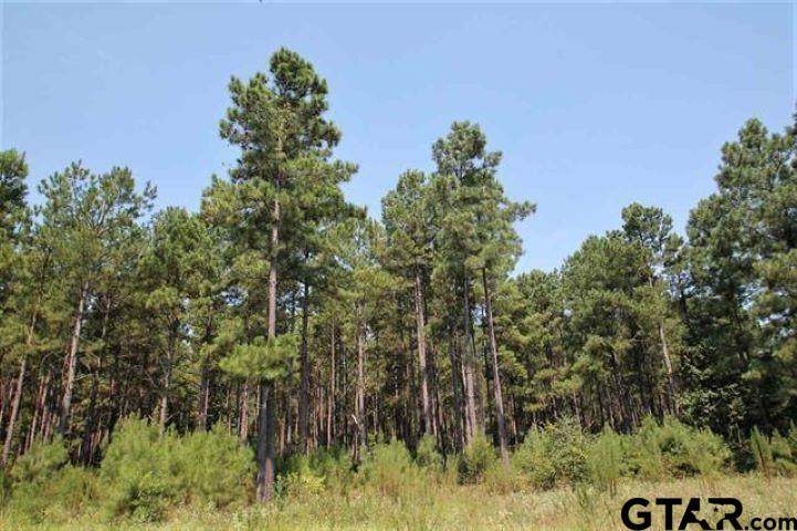 TBD Fm 2869 - Photo 1
