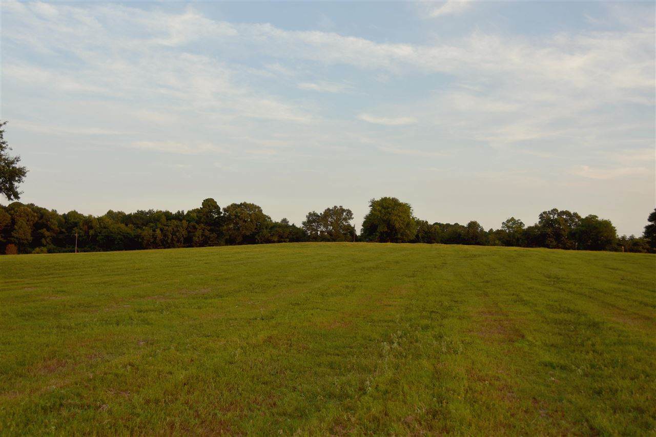 TBD 1 County Road 3144 - Photo 1