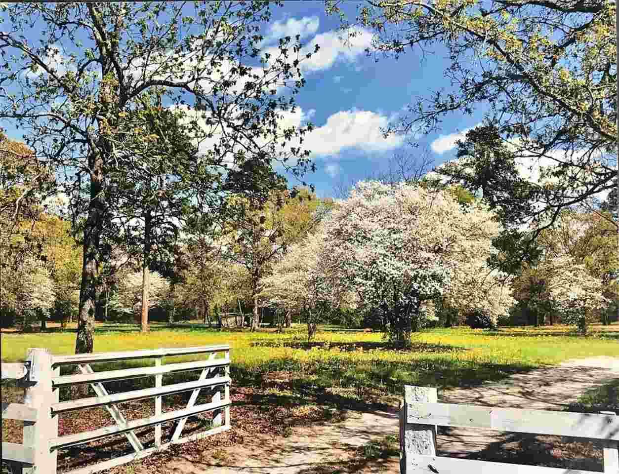 3501 Fm 2869 - Photo 1