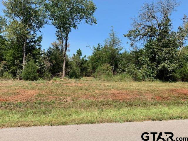Tract 5 Moser Ln - Photo 1