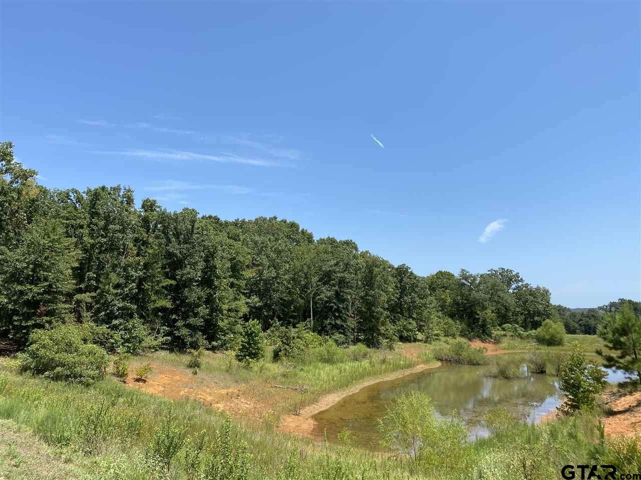 TBD County Road 4102 (Lot 2) - Photo 1