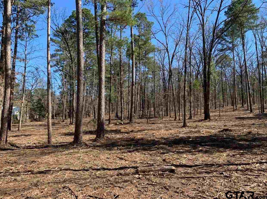 TBD Bobwhite Rd. - Photo 1