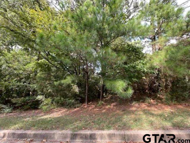TBD Tall Timber Dr. - Photo 1