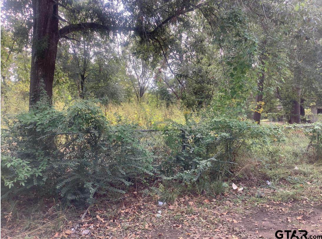 2506 Canton St - Photo 1