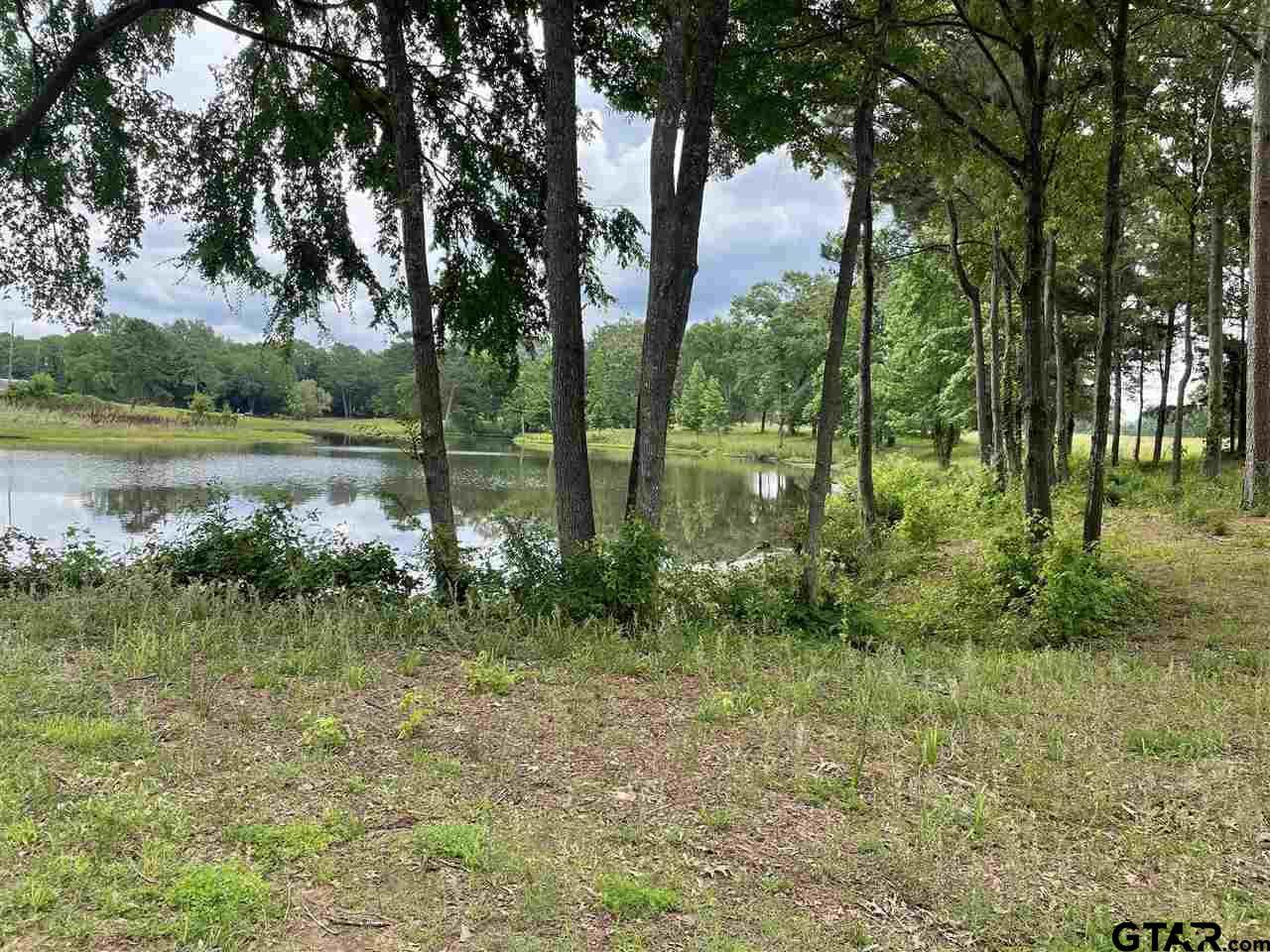 TBD Cr 1770 & Eastpoint Dr - Photo 1