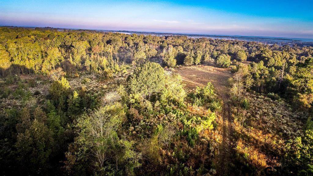 TBD Peter Bonner Rd - Photo 1