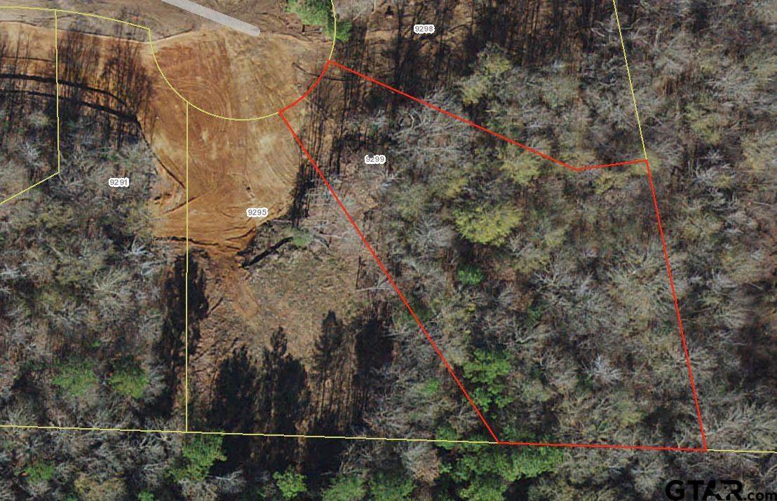 9299 Caddo Ridge Cv - Photo 1