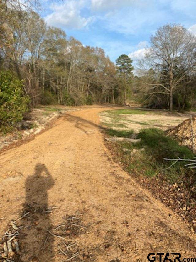 1207 Crepe Myrtle - Photo 1
