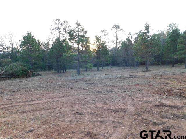3814 Gannet Road - Photo 1