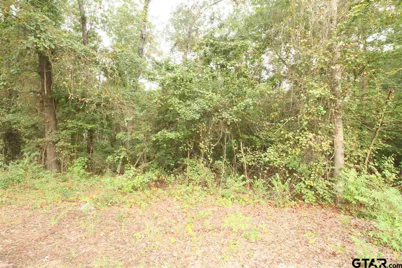 lot 293 Eastwood Dr - Photo 1