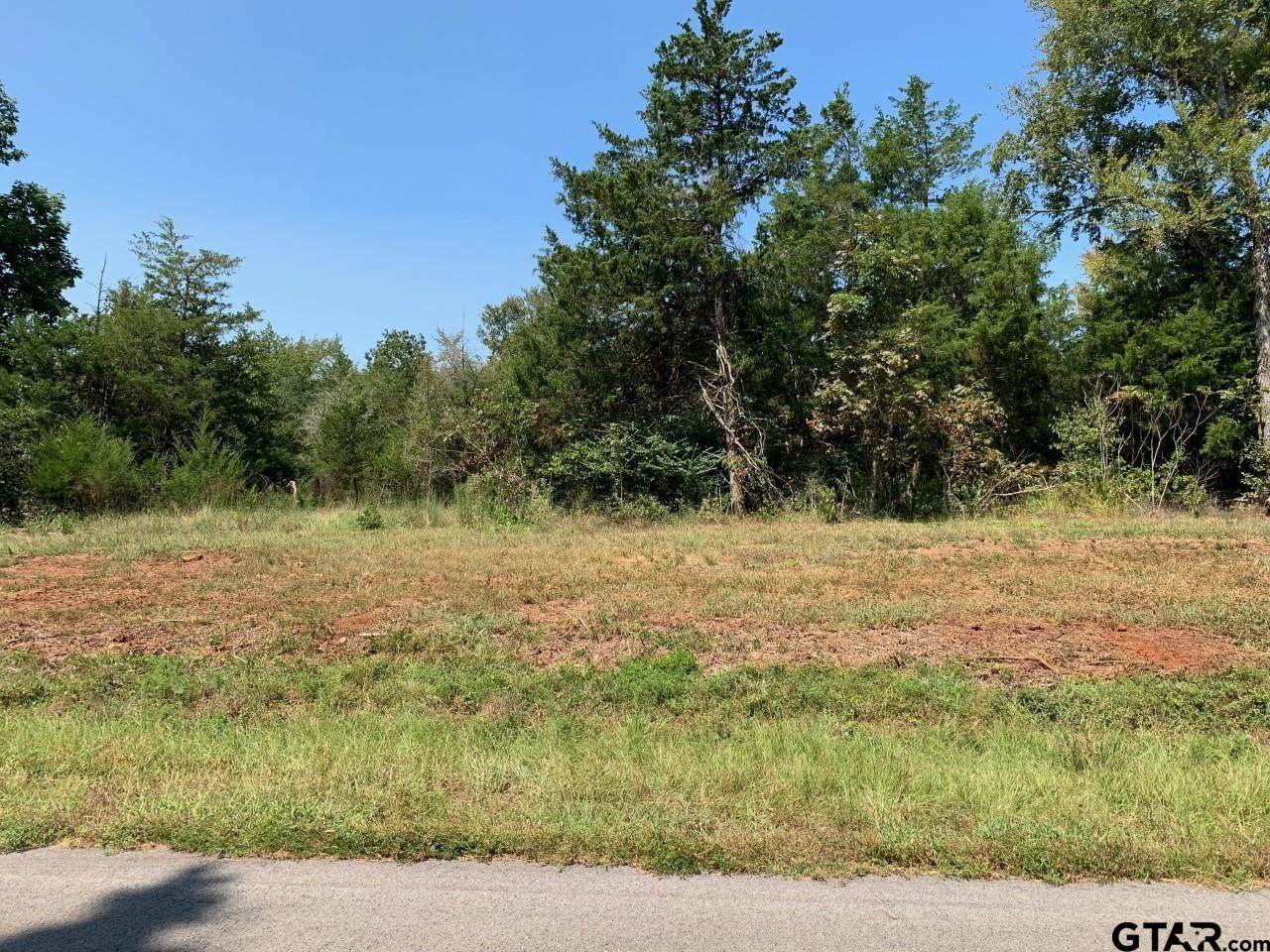 Tract 2 Moser Ln - Photo 1