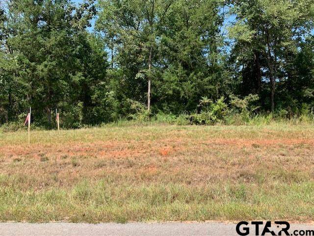 Tract 6 Moser Ln - Photo 1