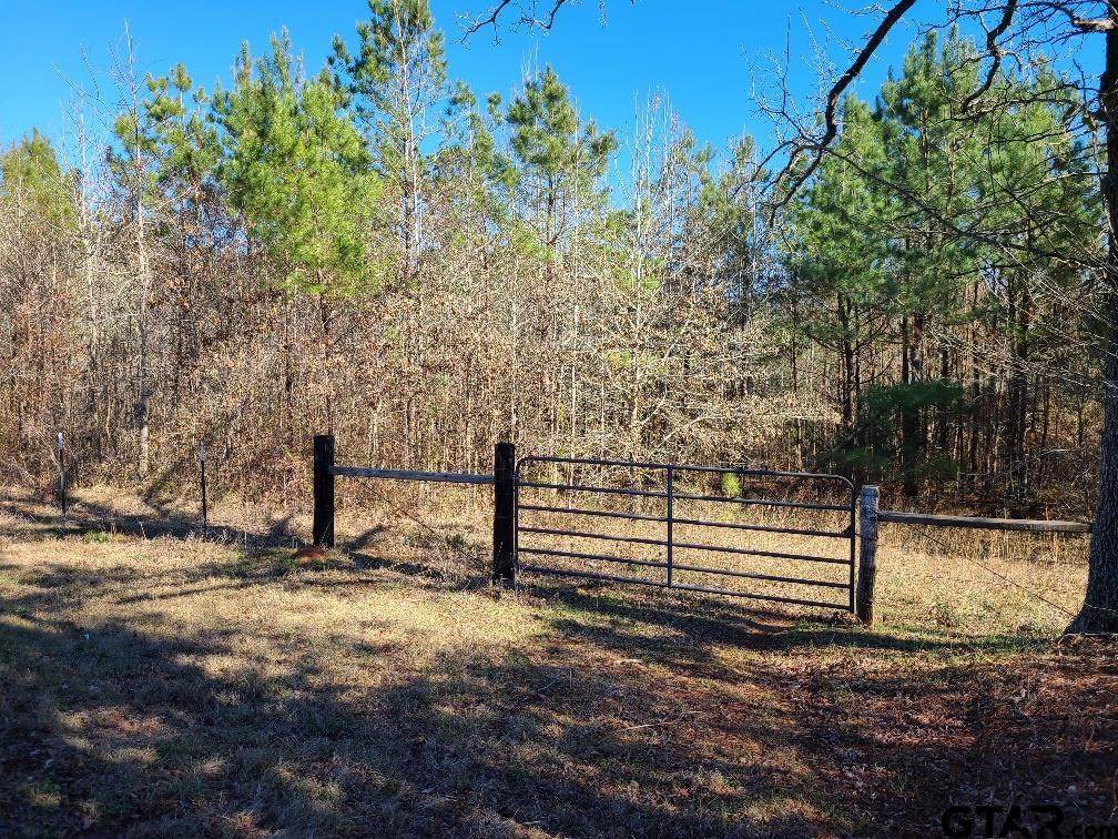 6.3 acres Cr 401 - Photo 1