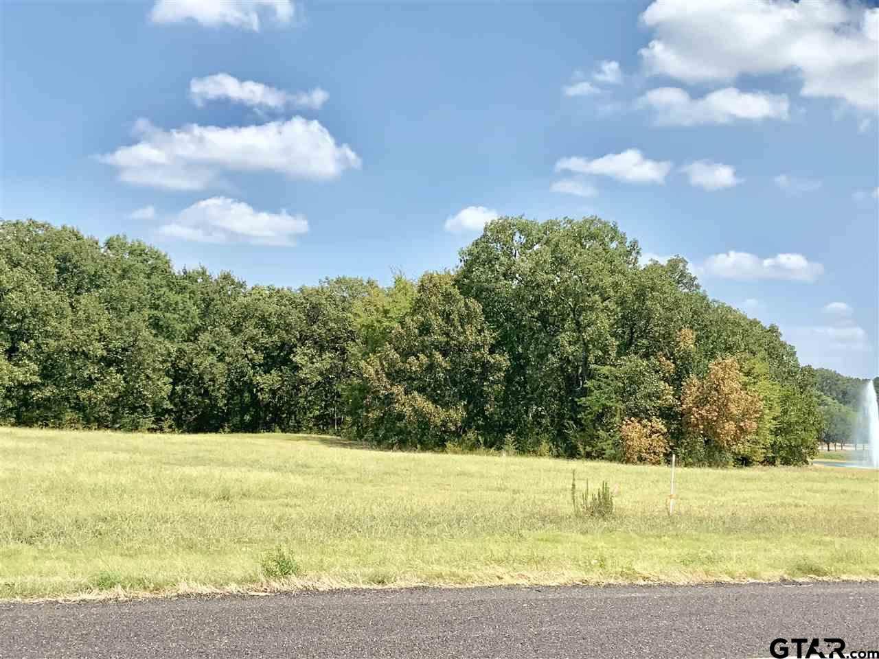 TBD Hwy 271 - Photo 1