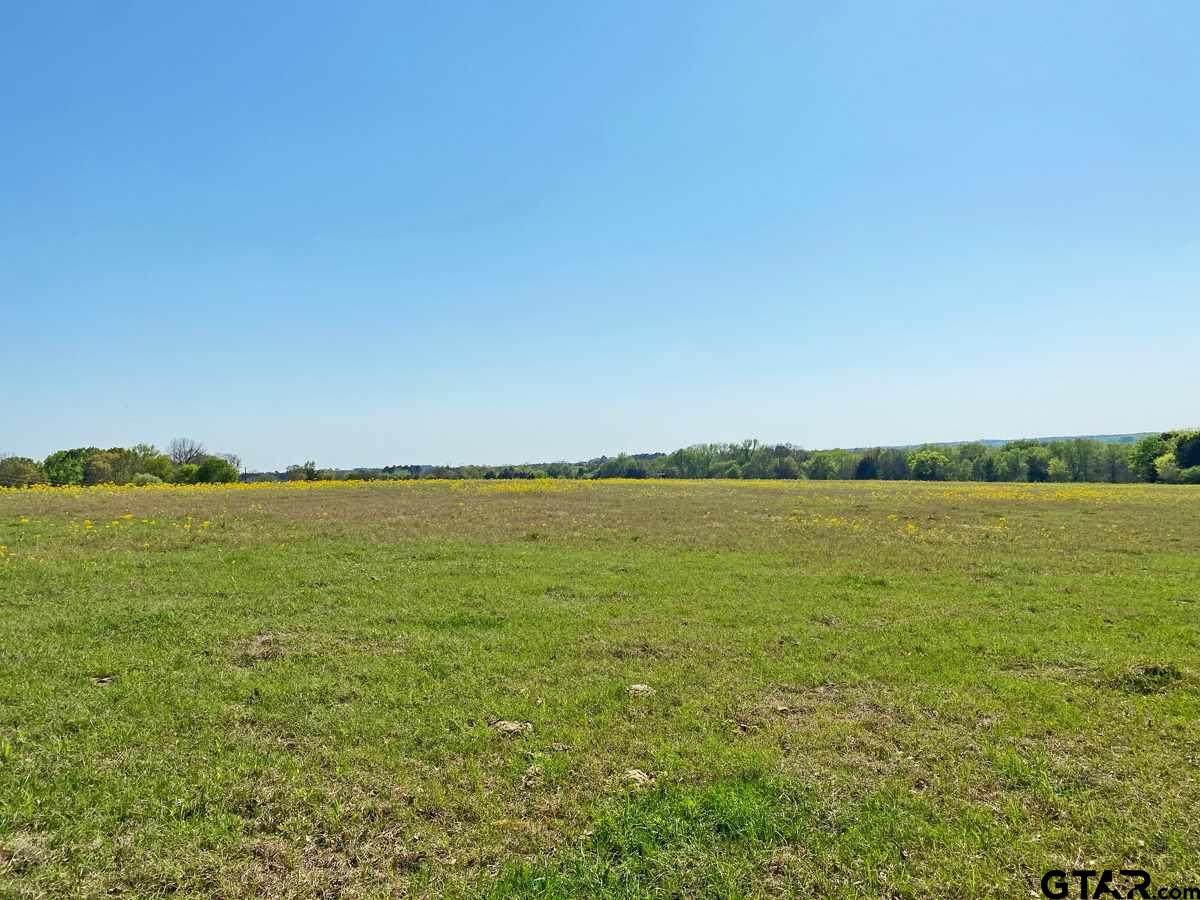 TBD Lot 32 Cattle Run - Photo 1