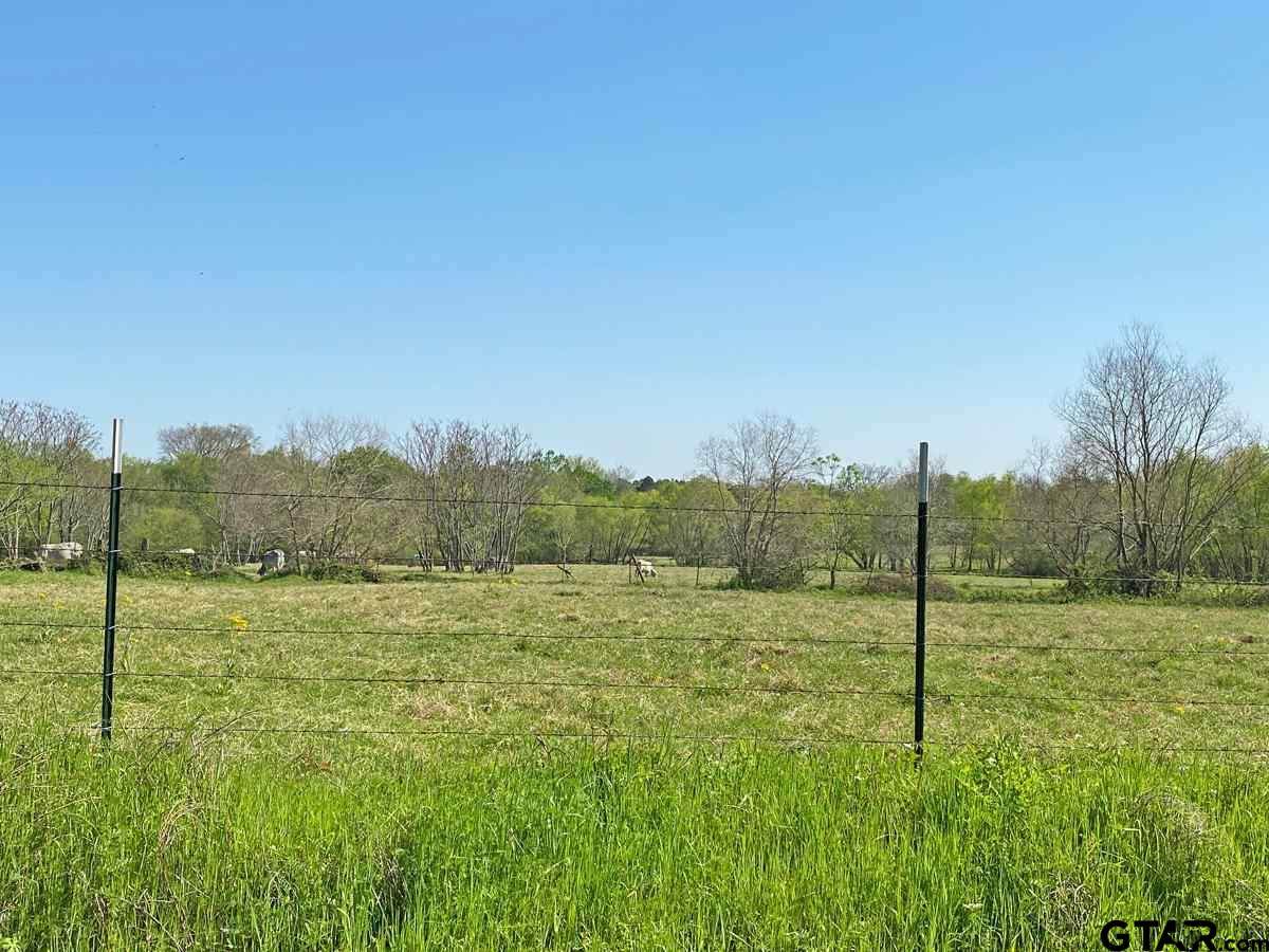 TBD Lot 11 Cr 192 - Photo 1