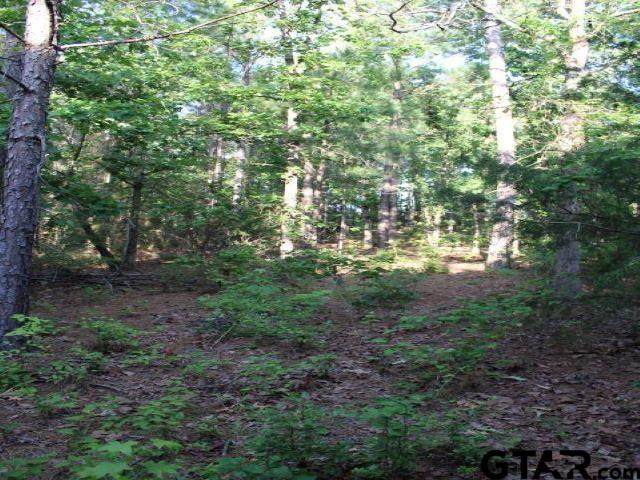 14178 Cr 1113 - Photo 1
