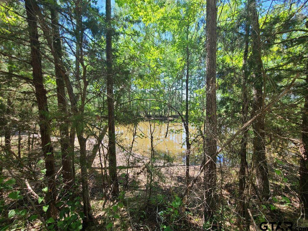 2 AC Cr 382 - Photo 1
