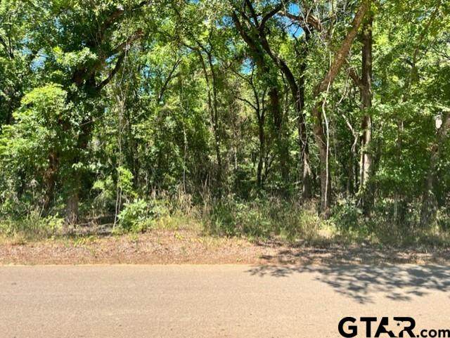 Lot 8 Old Tyler Rd. - Photo 1