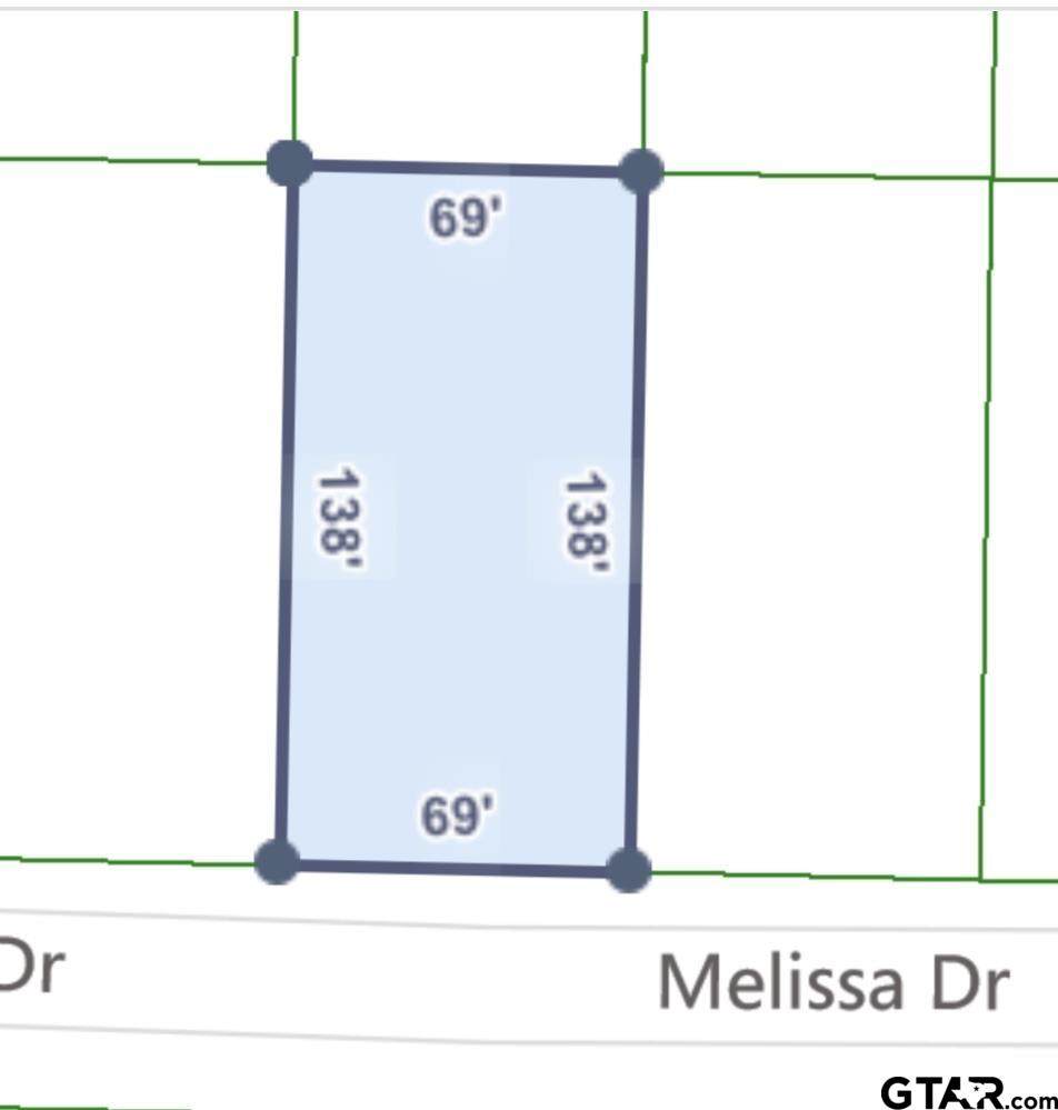 165 Melissa - Photo 1