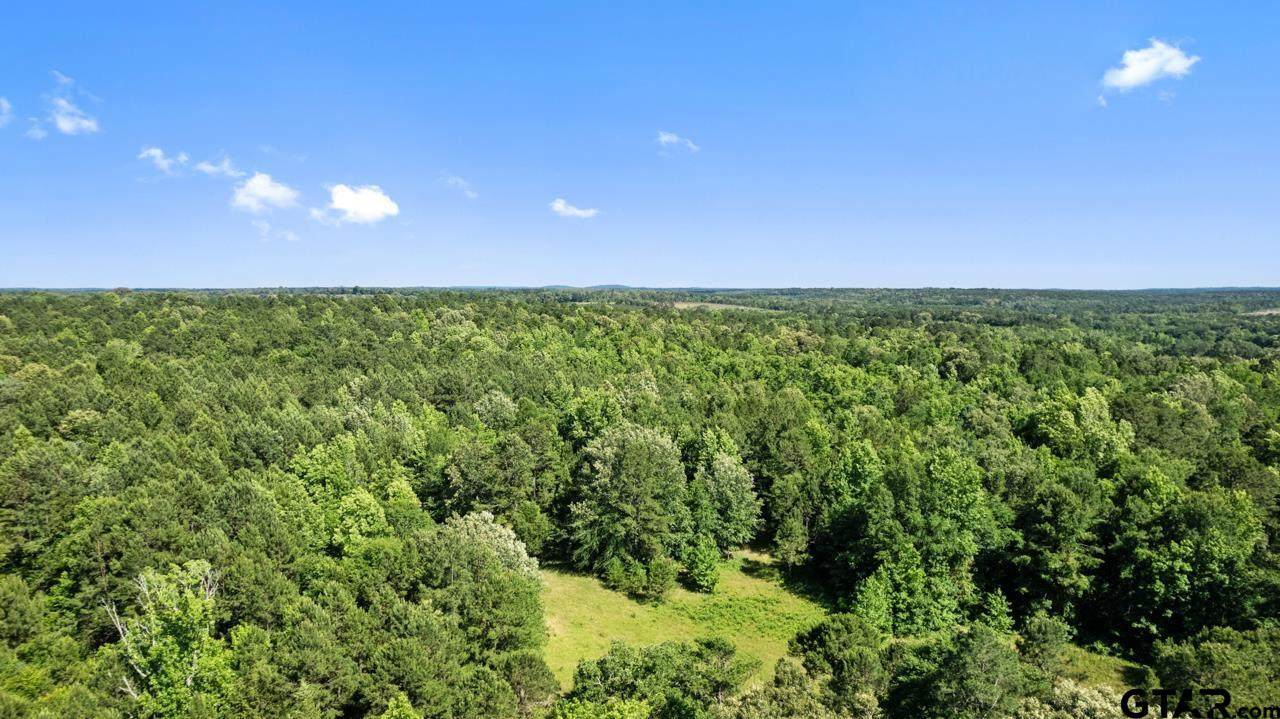 115.540 Acres Tbd Cr 435 D - Photo 1
