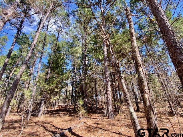 LOT 5 Silk Tree - Photo 1