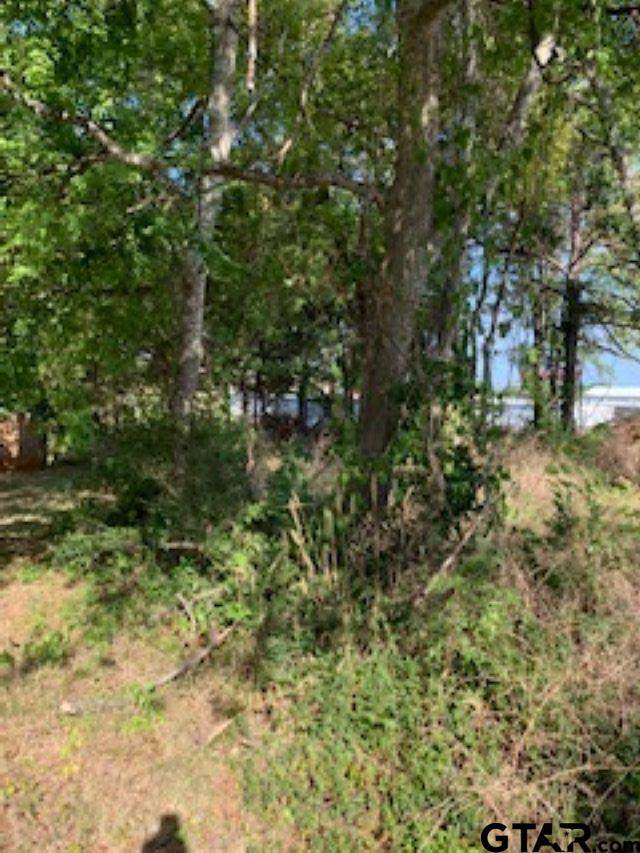 Lot 20 Almarion St - Photo 1