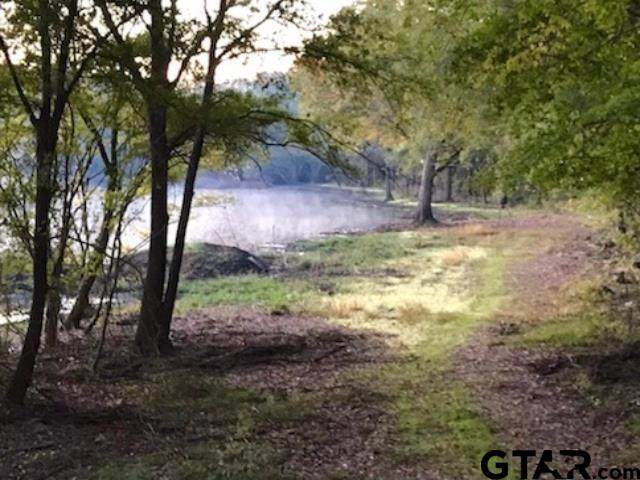 14212 County Road 266 - Photo 1