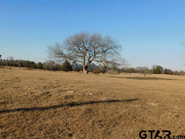TBD F.M. 1519 - Photo 1