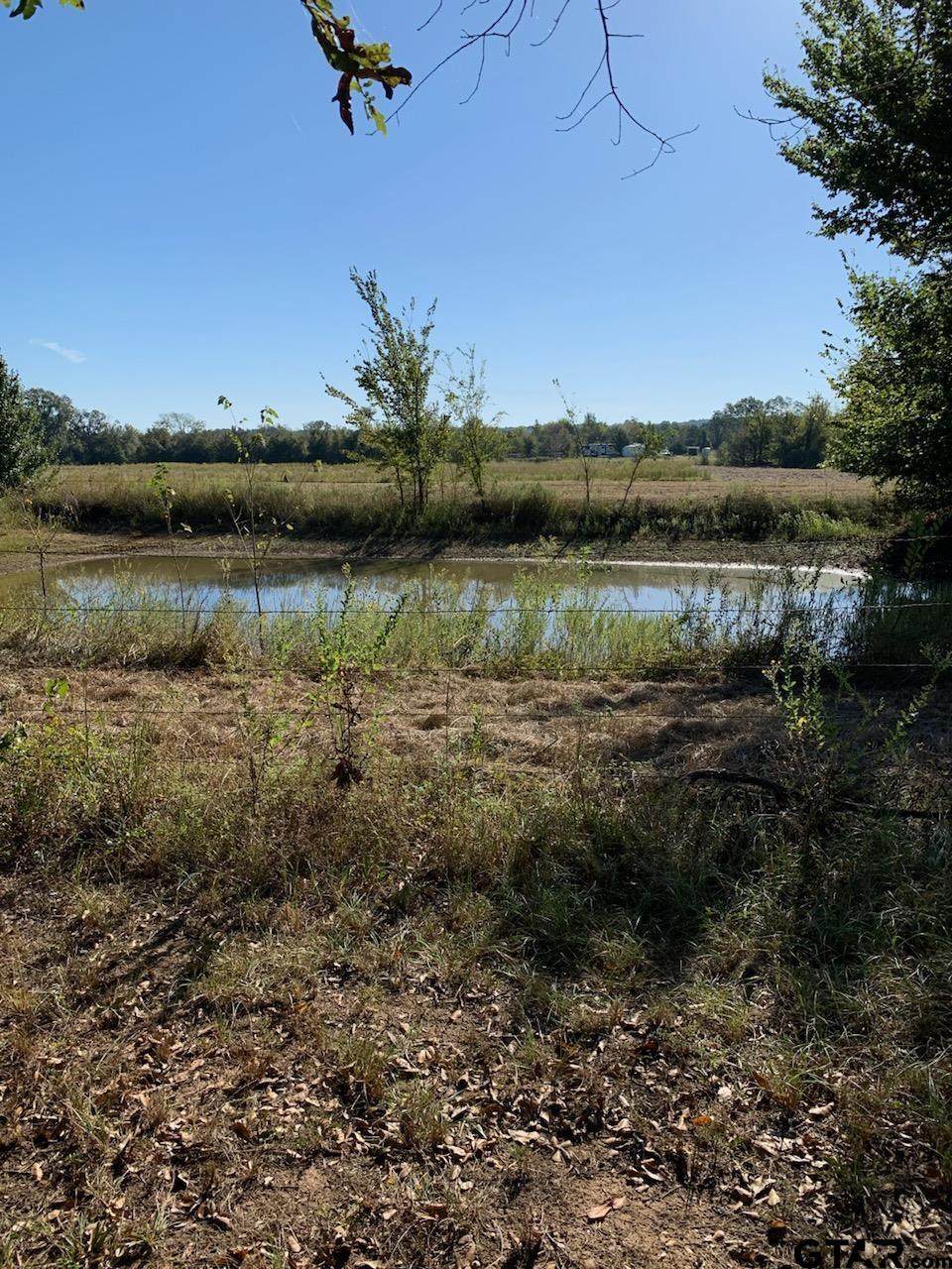 18166 County Road 452 - Photo 1