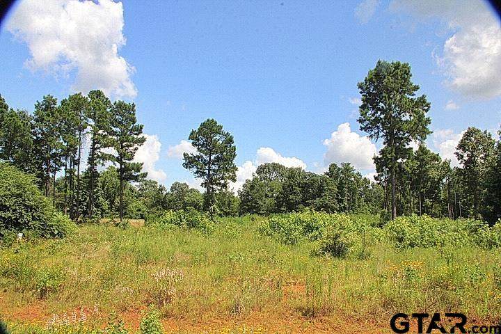 930 Stone Chimney Rd. (Lot 18 Cr 3608) - Photo 1